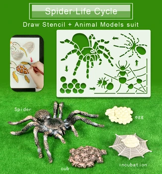 Montessori Švietimo Žaislai, Piešimo Šabloną Gyvūnų Gyvenimo Ciklą,Modeliavimo Bitė,Drugelis Modelius, Mokymo Medžiaga Vaikams