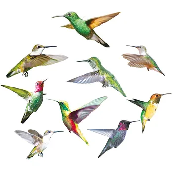 9pc Hummingbird Langą tvirtai laikosi Langų Dekoro Lipdukai Unikalus Langų Dekoro Lipni Langą tvirtai laikosi, Siekiant Išvengti Paukščių susidūrimų D6