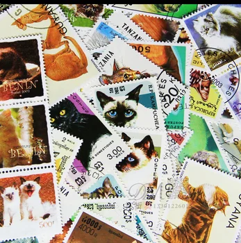 50 Skirtingų Temų Gyvūnų Katė Nepanaudoti Pašto Ženklai Su Pašto Žyma Kolekcija