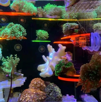 Fluorescencijos Koralų Frag Stovo BIS Akrilo Jūrų Akvariumas Rifas Su Kištukais PLOKŠTELIŲ laikiklis Mount Priemonė, skirta padėjus