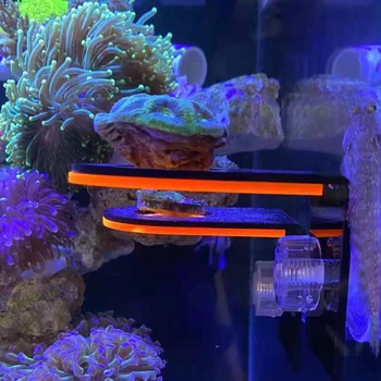 Fluorescencijos Koralų Frag Stovo BIS Akrilo Jūrų Akvariumas Rifas Su Kištukais PLOKŠTELIŲ laikiklis Mount Priemonė, skirta padėjus